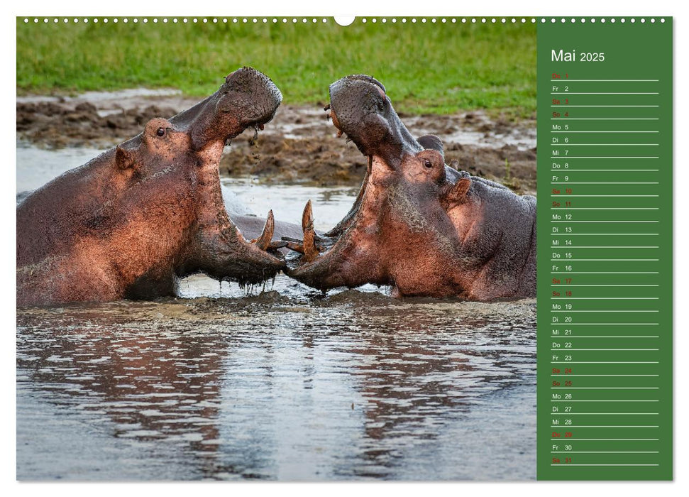 UGANDA - Perle Afrikas (CALVENDO Premium Wandkalender 2025)