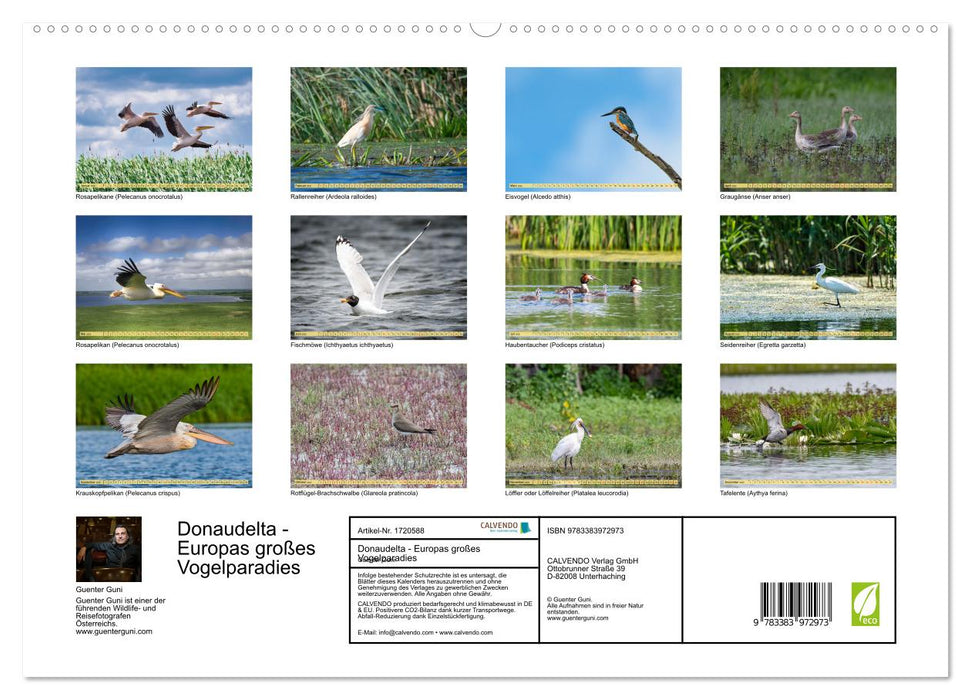 Donaudelta - Europas großes Vogelparadies (CALVENDO Premium Wandkalender 2025)