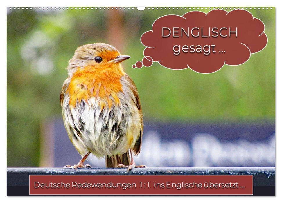 DENGLISCH gesagt ... (CALVENDO Wandkalender 2025)