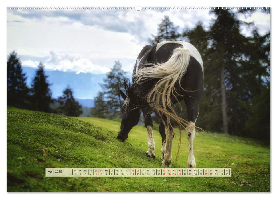 Almenglück (CALVENDO Premium Wandkalender 2025)