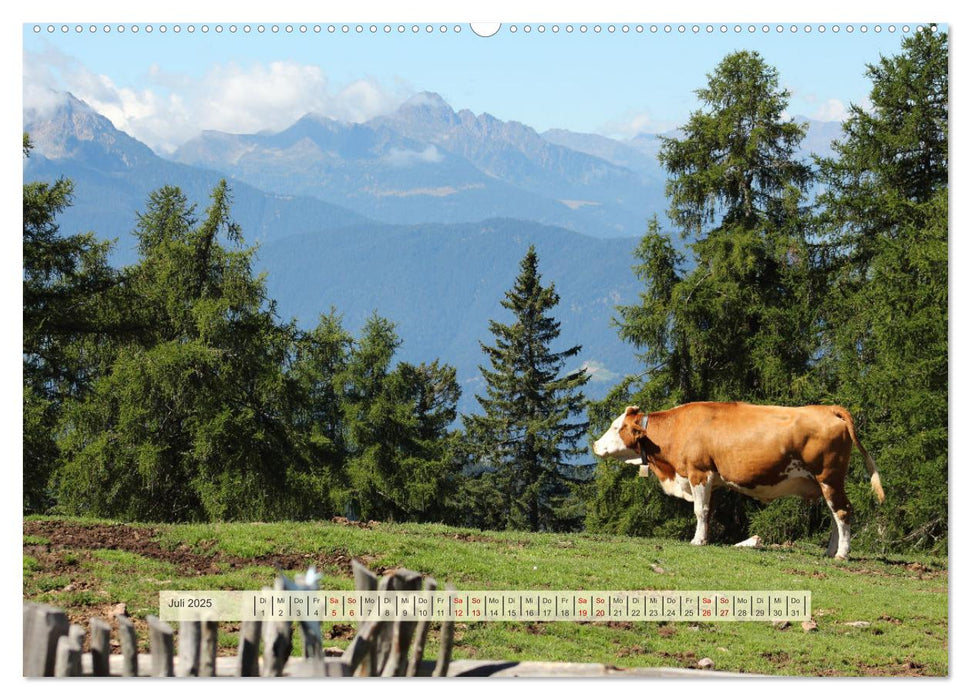 Almenglück (CALVENDO Premium Wandkalender 2025)