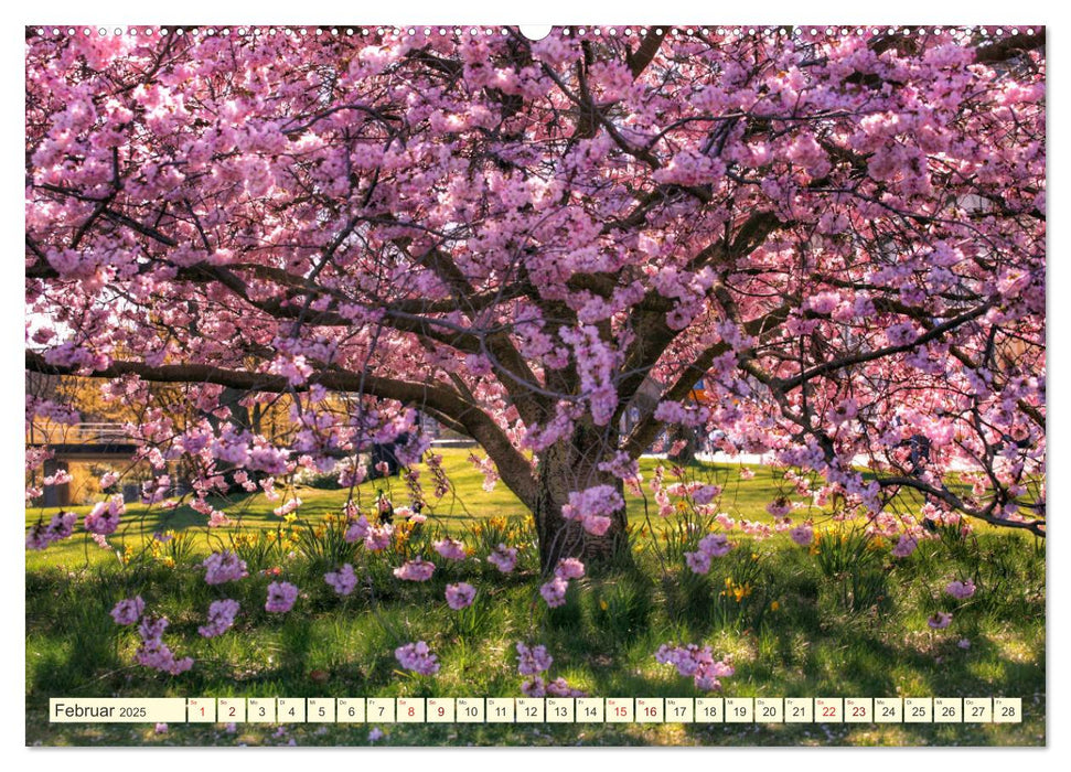 Bäume, der Atem der Natur (CALVENDO Premium Wandkalender 2025)