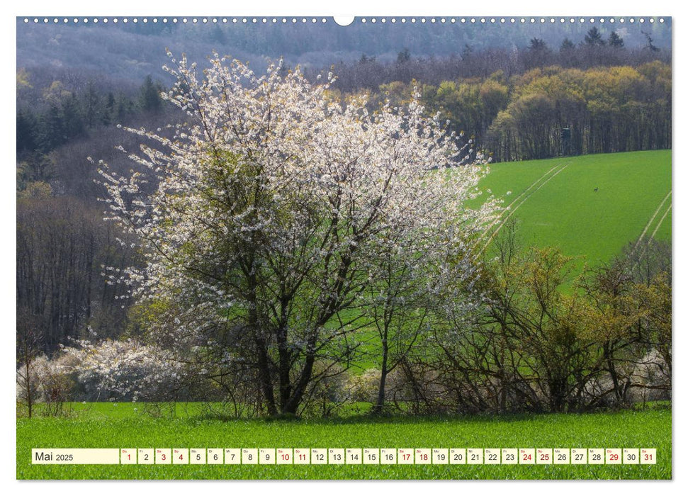 Bäume, der Atem der Natur (CALVENDO Premium Wandkalender 2025)