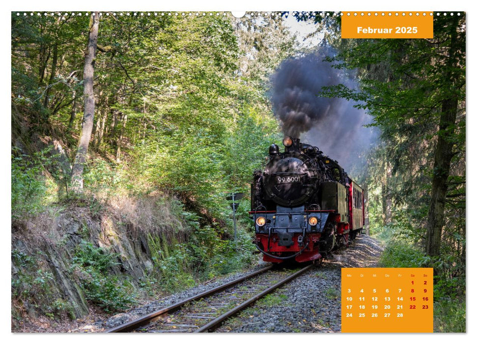 Traumhafter Harz (CALVENDO Premium Wandkalender 2025)