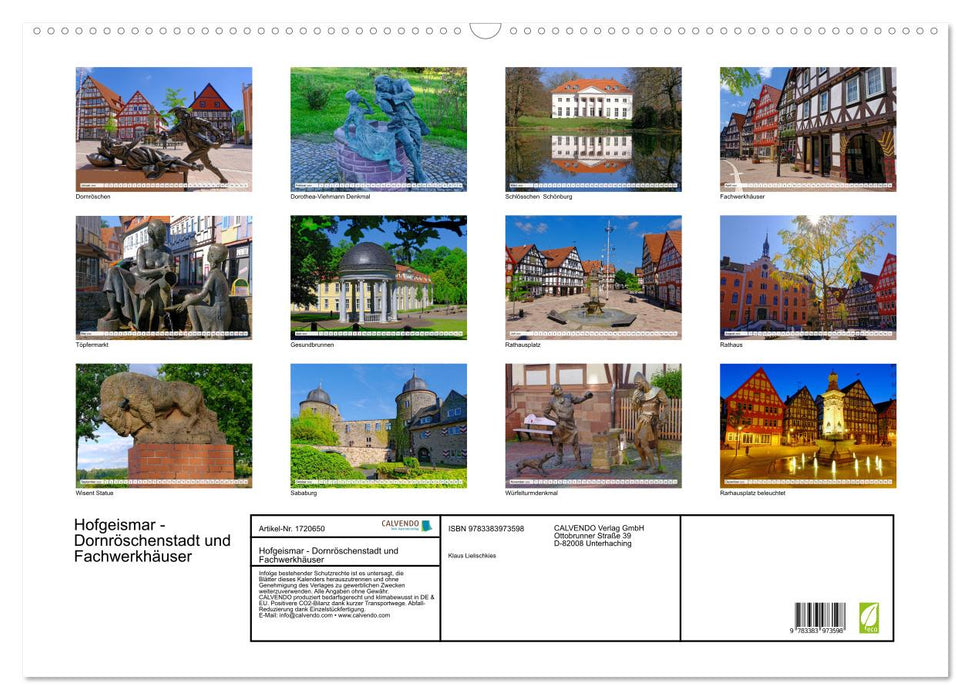 Hofgeismar - Dornröschenstadt und Fachwerkhäuser (CALVENDO Wandkalender 2025)