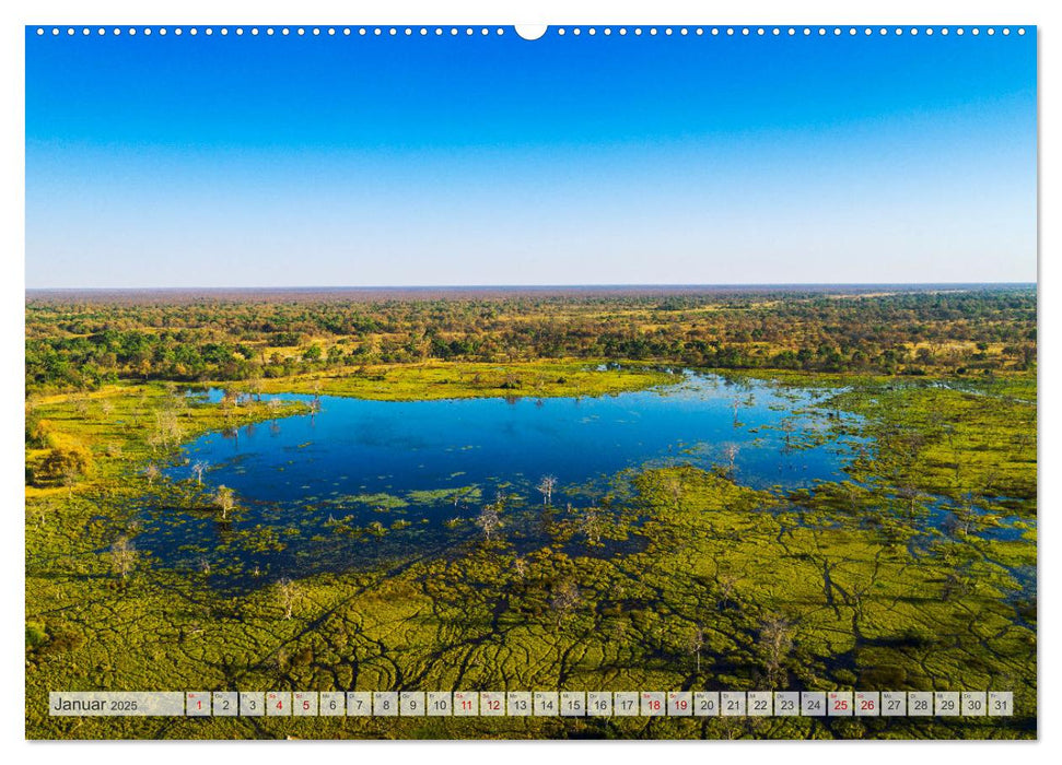 Okavango! Atemberaubende Naturschönheit im größten Binnendelta der Welt (CALVENDO Premium Wandkalender 2025)