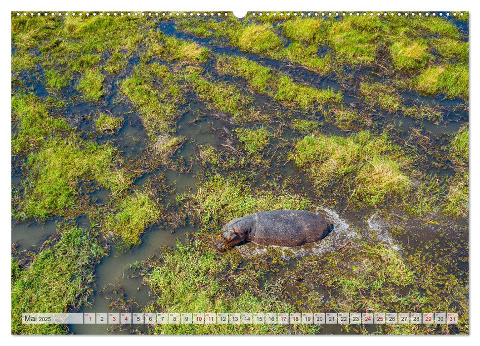 Okavango! Atemberaubende Naturschönheit im größten Binnendelta der Welt (CALVENDO Premium Wandkalender 2025)