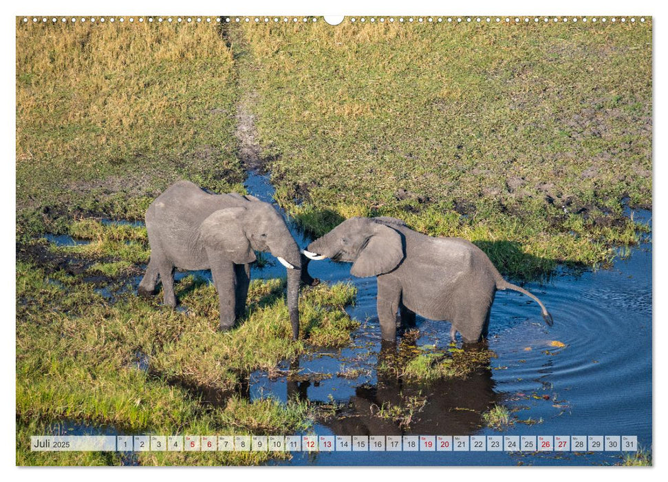 Okavango! Atemberaubende Naturschönheit im größten Binnendelta der Welt (CALVENDO Premium Wandkalender 2025)