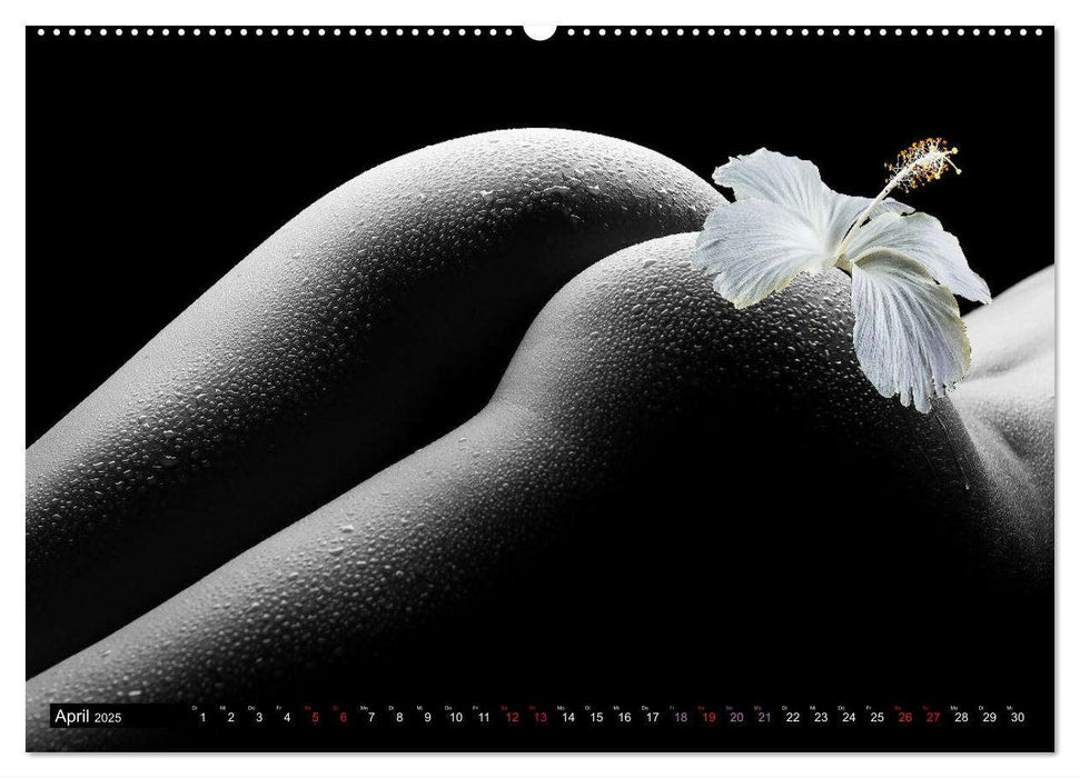 Erotik Art etwas Blumig POMBASTISCH (CALVENDO Premium Wandkalender 2025)