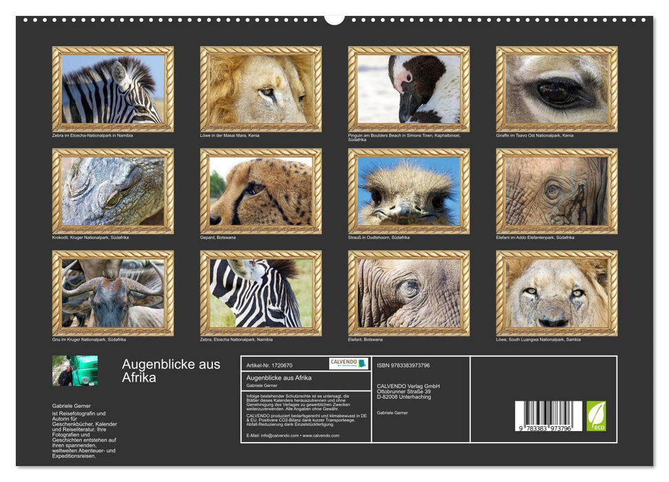 Augenblicke aus Afrika (CALVENDO Premium Wandkalender 2025)