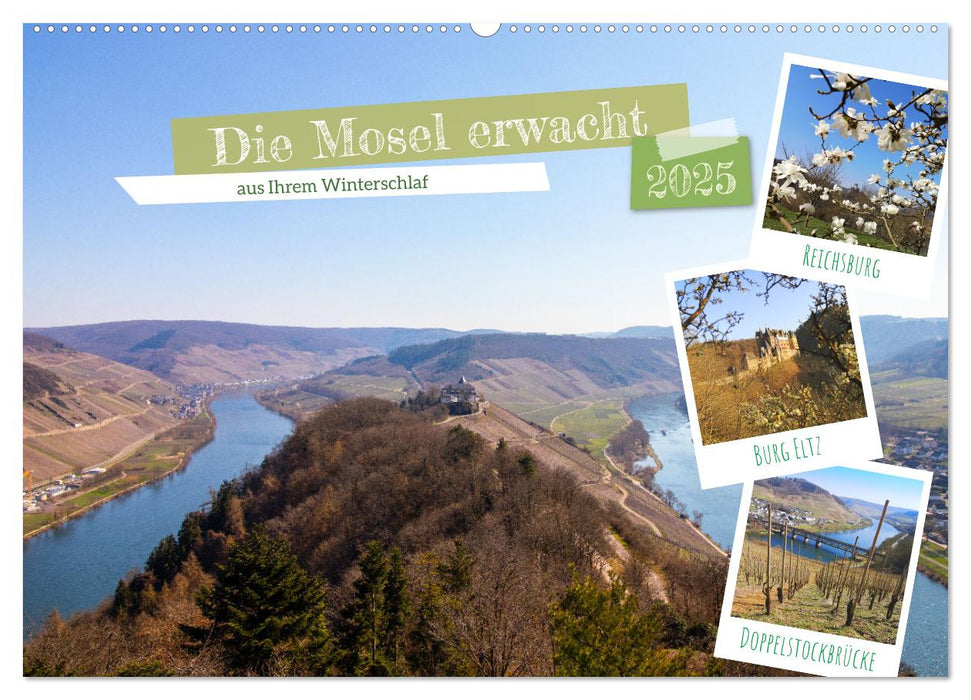 Die Mosel erwacht aus Ihrem Winterschlaf (CALVENDO Wandkalender 2025)