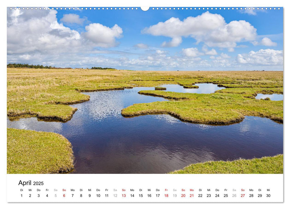 Schleswig-Holstein, ein Fest der Sinne (CALVENDO Wandkalender 2025)