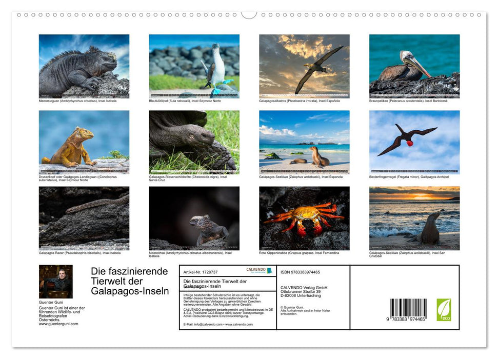 Die faszinierende Tierwelt der Galapagos-Inseln (CALVENDO Premium Wandkalender 2025)