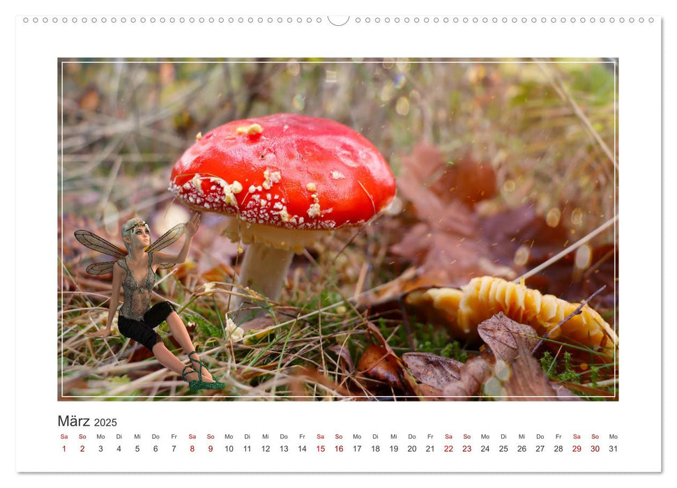 Pilze im Elfenwald (CALVENDO Premium Wandkalender 2025)