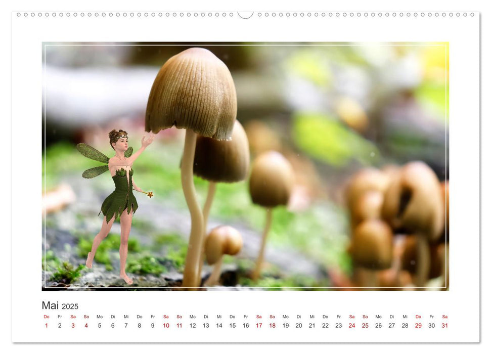 Pilze im Elfenwald (CALVENDO Premium Wandkalender 2025)