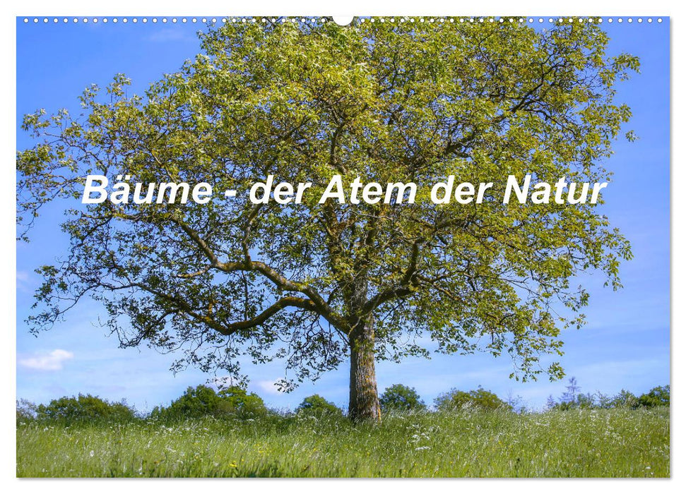 Bäume, der Atem der Natur (CALVENDO Wandkalender 2025)