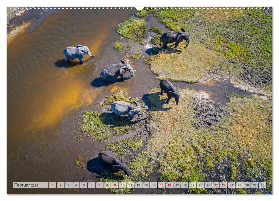 Okavango! Atemberaubende Naturschönheit im größten Binnendelta der Welt (CALVENDO Wandkalender 2025)