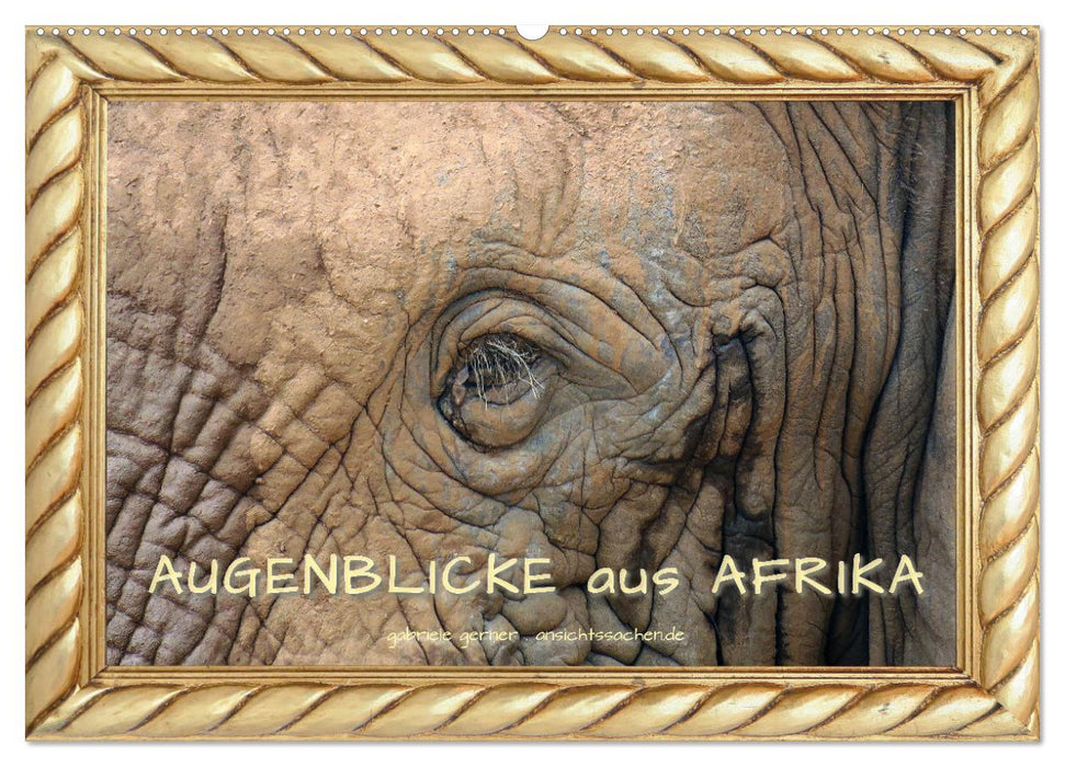 Augenblicke aus Afrika (CALVENDO Wandkalender 2025)