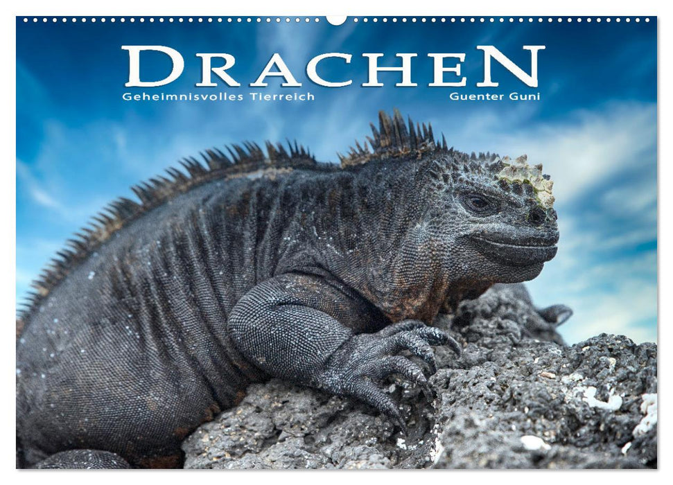 Drachen: Geheimnisvolles Tierreich (CALVENDO Wandkalender 2025)