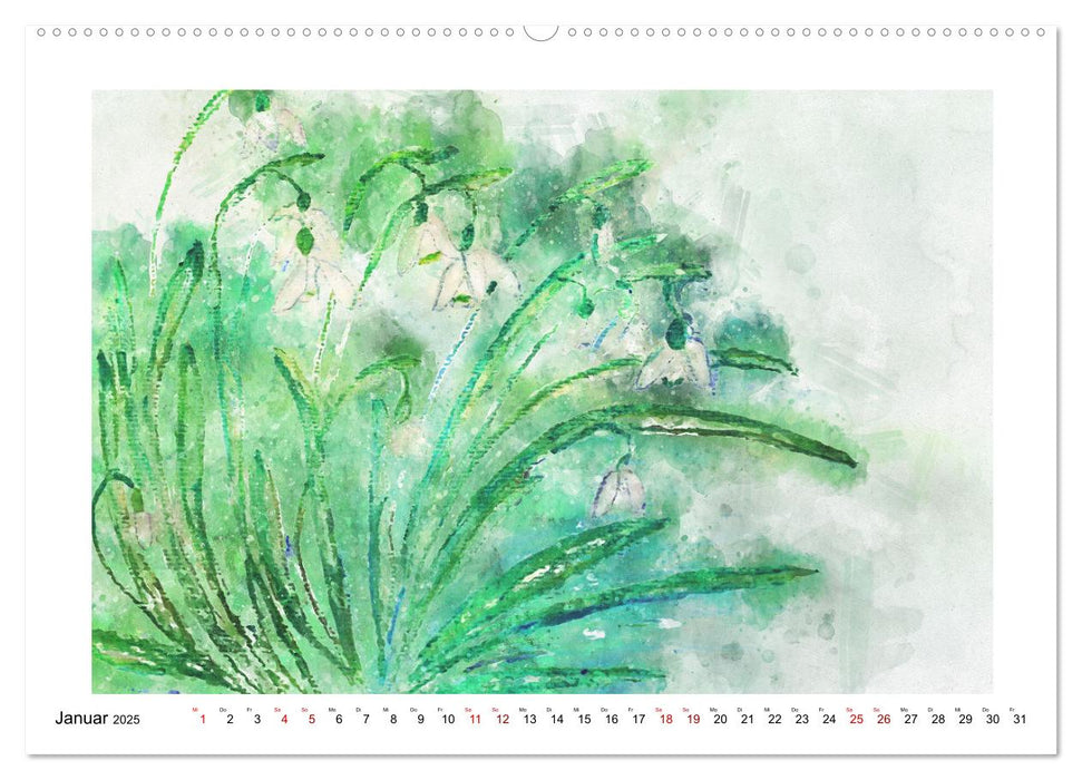 Blüten & Blumen Aquarelle - Farbenfrohe Schönheiten (CALVENDO Premium Wandkalender 2025)