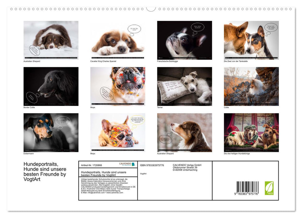 Hundeportraits, Hunde sind unsere besten Freunde by VogtArt (CALVENDO Premium Wandkalender 2025)