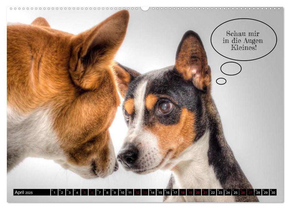 Hundeportraits, Hunde sind unsere besten Freunde by VogtArt (CALVENDO Premium Wandkalender 2025)