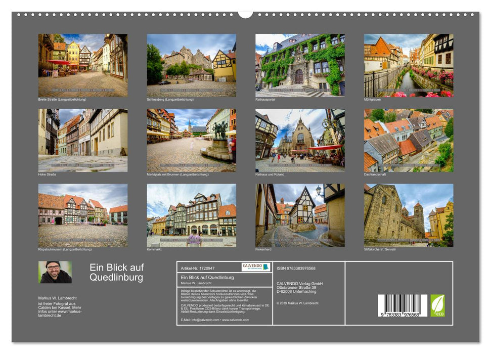 Ein Blick auf Quedlinburg (CALVENDO Premium Wandkalender 2025)