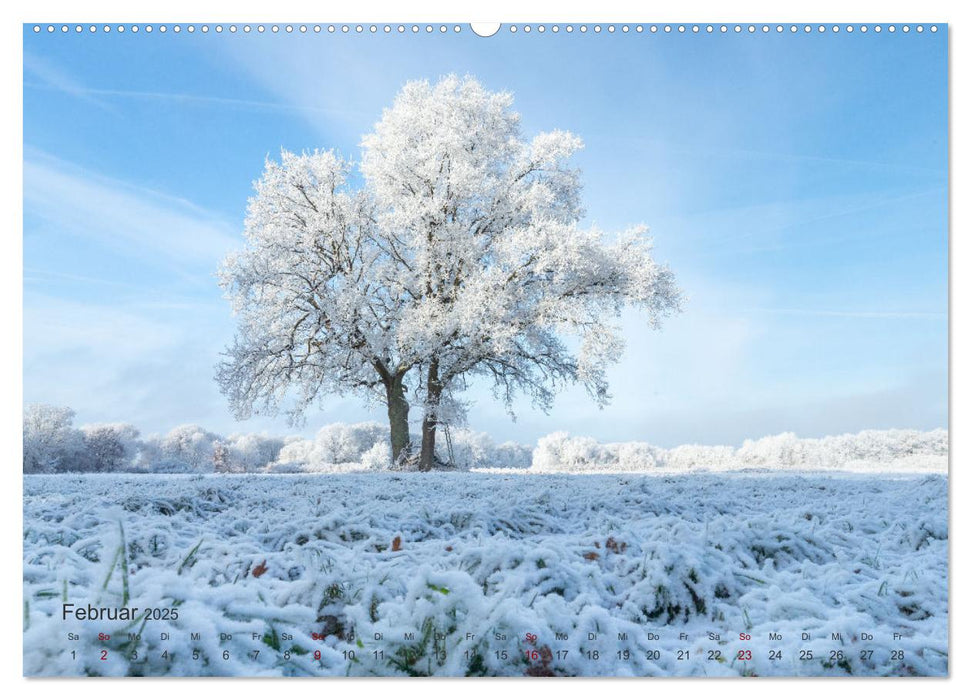 Landschaften und Natur 2025 (CALVENDO Premium Wandkalender 2025)