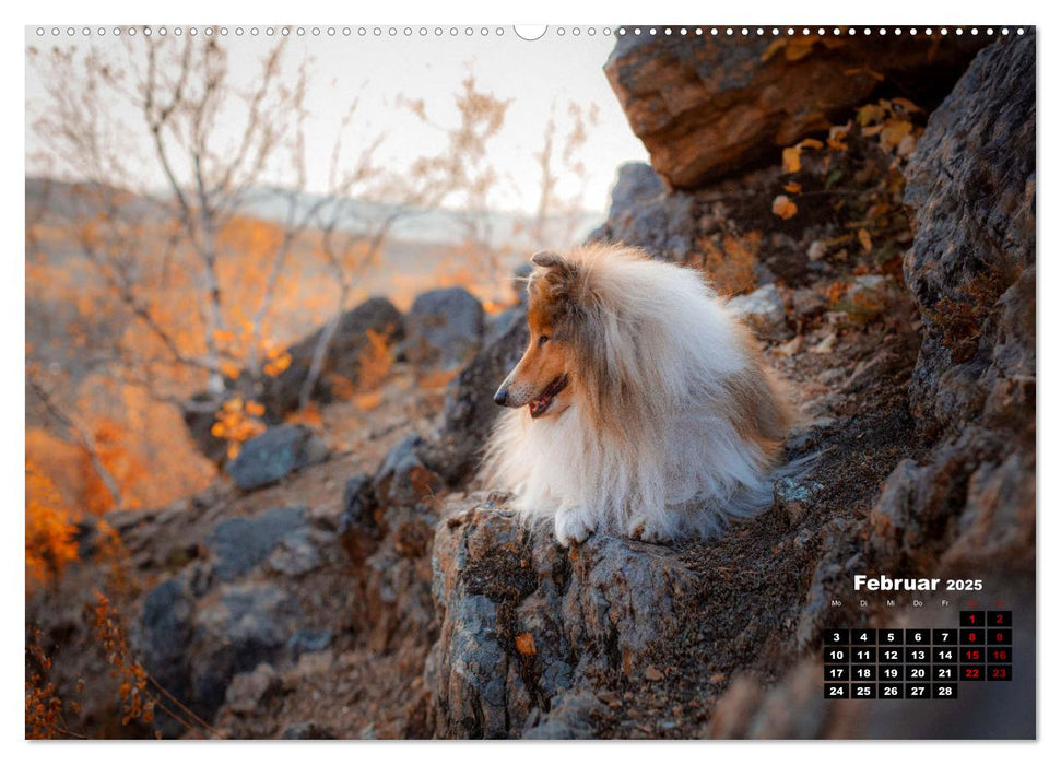 Hunde, unsere treuen Begleiter durch's Leben. (CALVENDO Premium Wandkalender 2025)