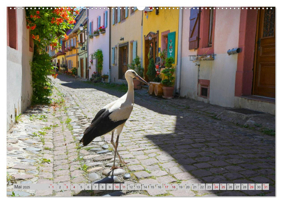 Frankreichs idyllische Dörfer (CALVENDO Wandkalender 2025)