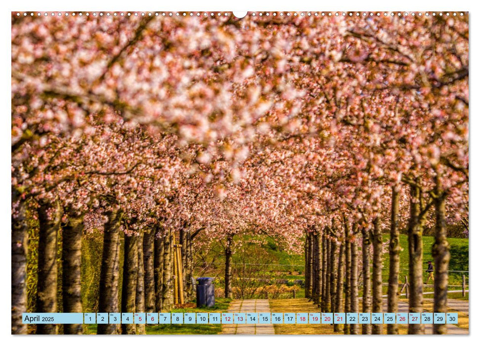 Impressionen aus dem Bürgerpark der Hansestadt Wismar (CALVENDO Wandkalender 2025)