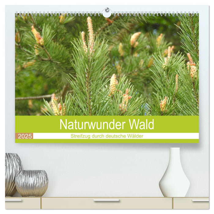 Naturwunder Wald (CALVENDO Premium Wandkalender 2025)