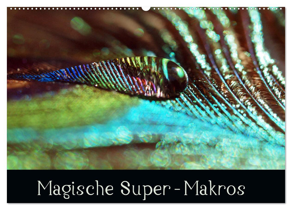 Magische Super-Makros (CALVENDO Wandkalender 2025)