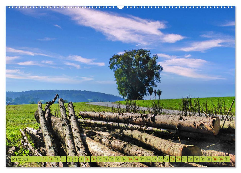 Die Stauden - Malerische Landschaft zwischen Wertach und Mindel (CALVENDO Premium Wandkalender 2025)