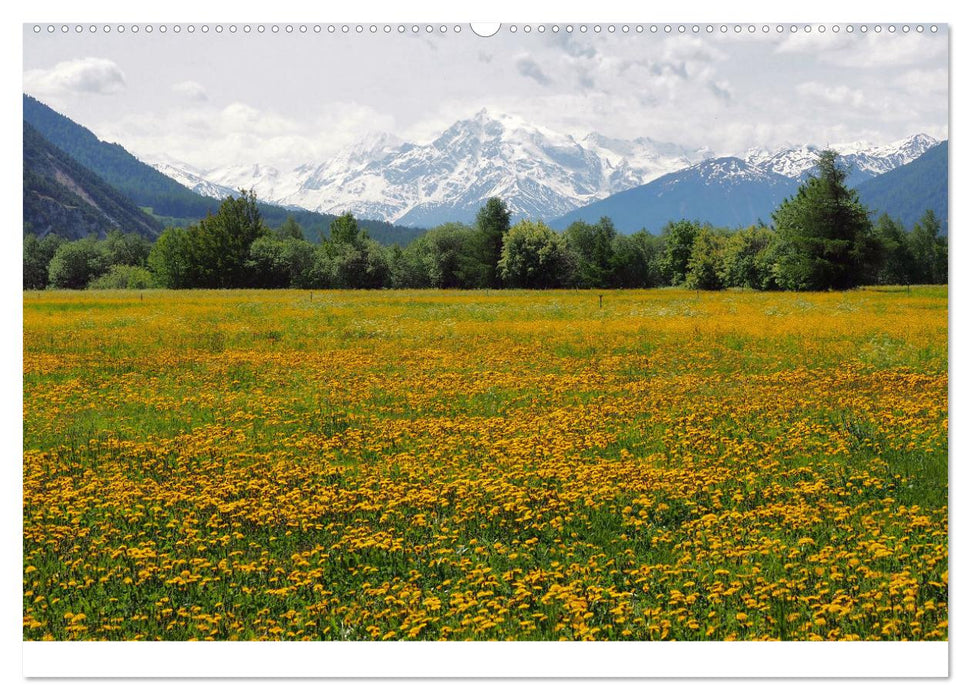 Urlaubsimpressionen aus Südtirol (CALVENDO Premium Wandkalender 2025)