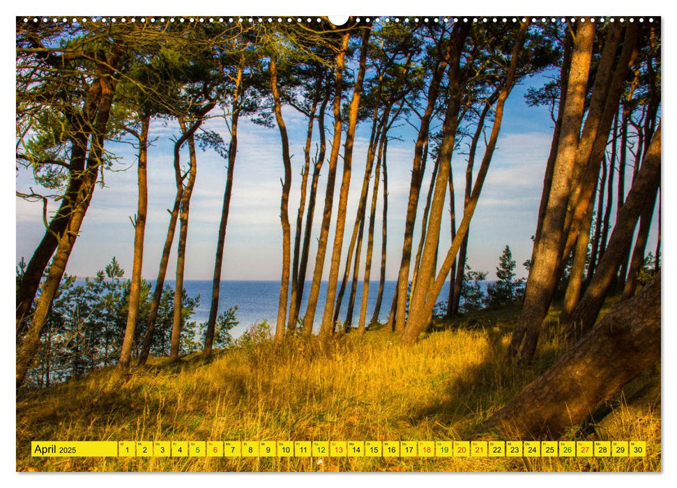 Erlebnis Ostseeküste - zwischen Wismarer Bucht und Usedom (CALVENDO Premium Wandkalender 2025)