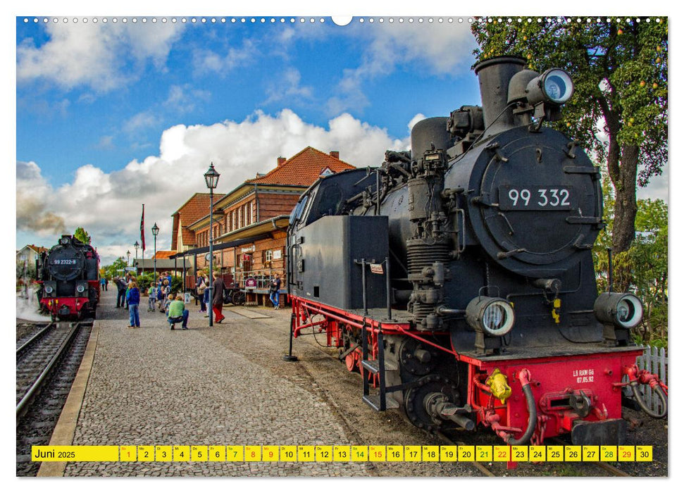 Erlebnis Ostseeküste - zwischen Wismarer Bucht und Usedom (CALVENDO Premium Wandkalender 2025)