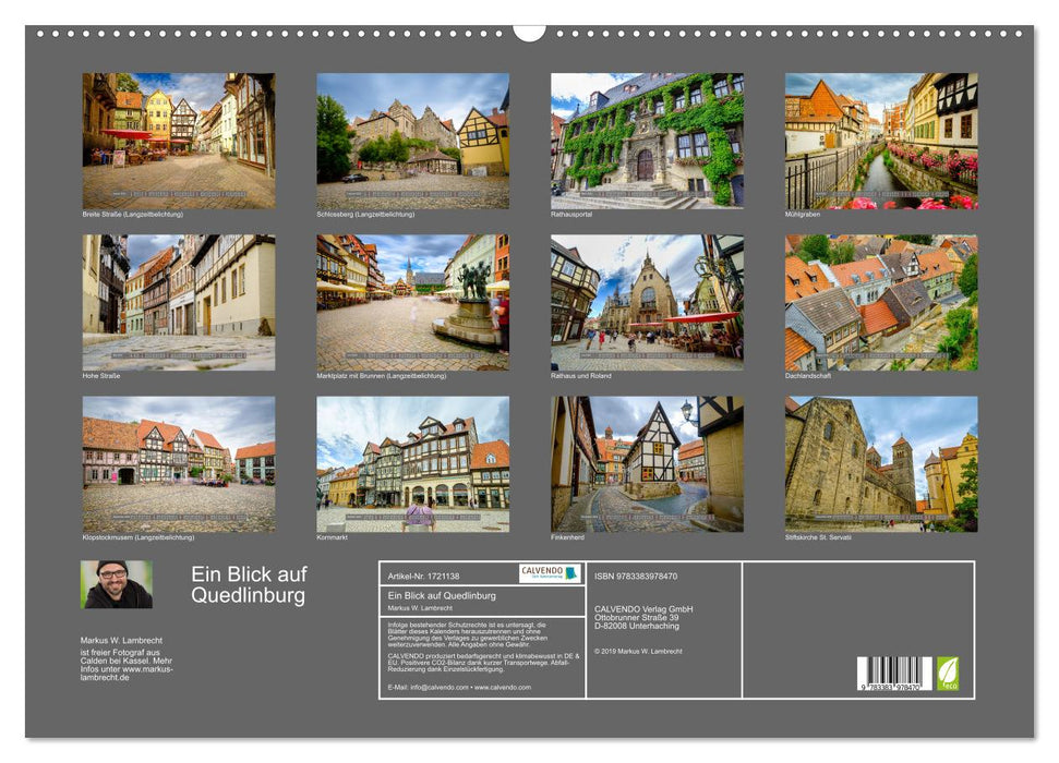 Ein Blick auf Quedlinburg (CALVENDO Wandkalender 2025)