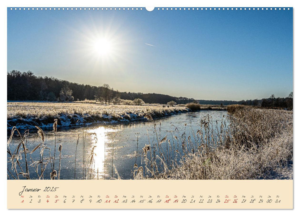 Friedländer Große Wiese (CALVENDO Premium Wandkalender 2025)