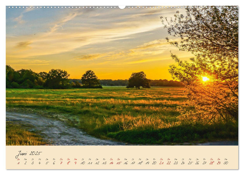 Friedländer Große Wiese (CALVENDO Premium Wandkalender 2025)