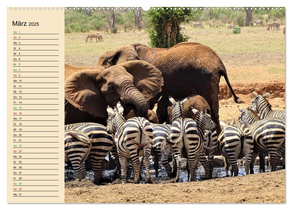 Verrückt nach Safari Verrückt nach Abenteuer in Kenia (CALVENDO Premium Wandkalender 2025)