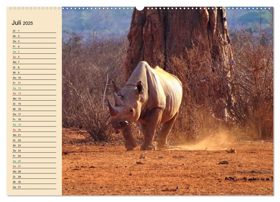 Verrückt nach Safari Verrückt nach Abenteuer in Kenia (CALVENDO Premium Wandkalender 2025)