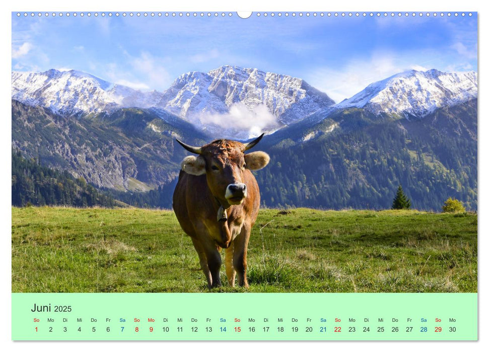 Zauber der Alpen (CALVENDO Premium Wandkalender 2025)