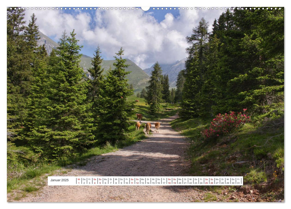 Zauber der Berglandschaft (CALVENDO Premium Wandkalender 2025)