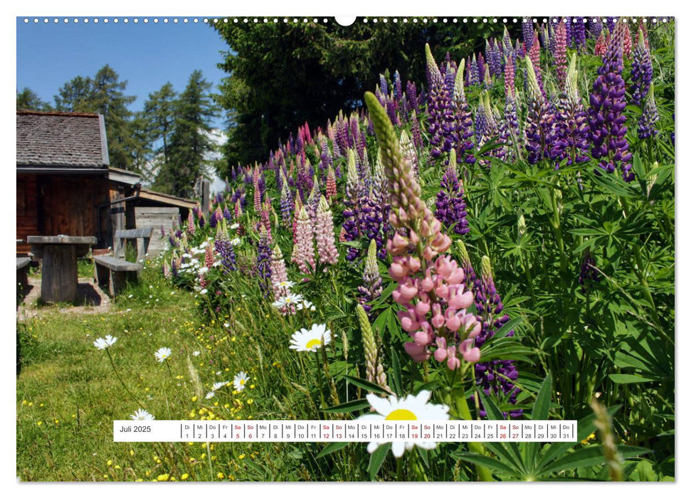 Zauber der Berglandschaft (CALVENDO Premium Wandkalender 2025)