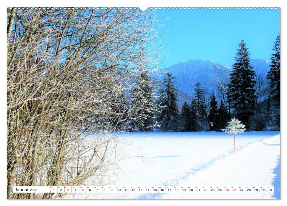 Das Graswangtal (CALVENDO Premium Wandkalender 2025)