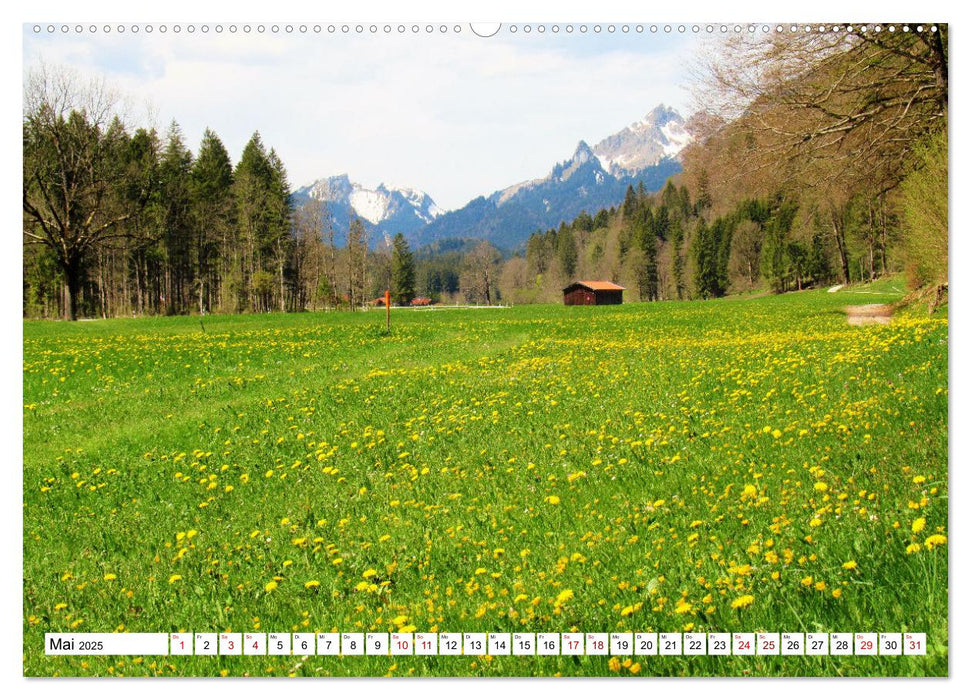 Das Graswangtal (CALVENDO Premium Wandkalender 2025)