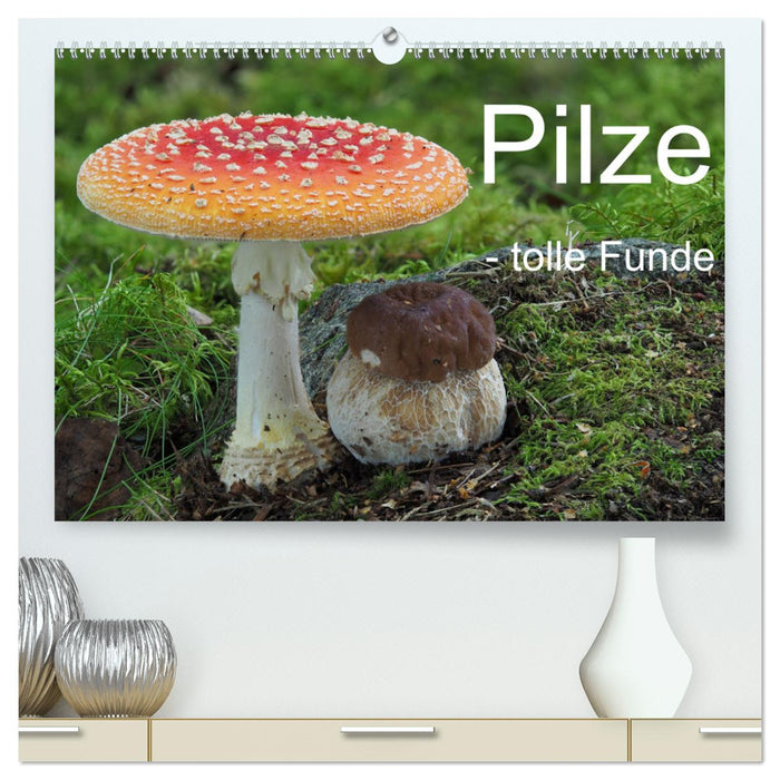 Pilze - tolle Funde (CALVENDO Premium Wandkalender 2025)