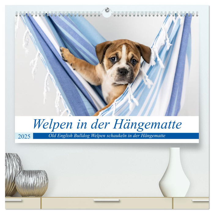 Welpen in der Hängematte (CALVENDO Premium Wandkalender 2025)