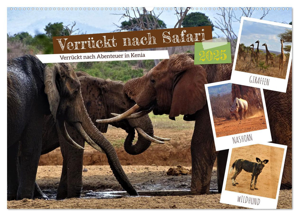 Verrückt nach Safari Verrückt nach Abenteuer in Kenia (CALVENDO Wandkalender 2025)